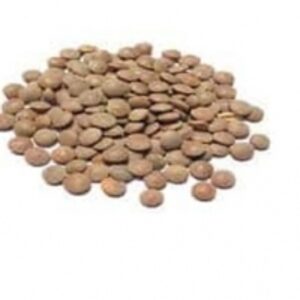 Whole Masoor by  Minsa Creation Pvt. Ltd. 