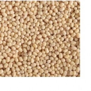 Urad Dal Gota by Minsa Creation Pvt. Ltd.