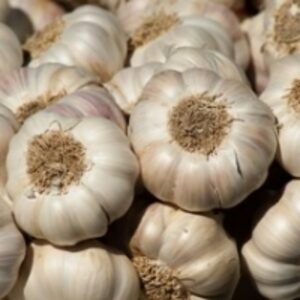Fresh Garlic by  Greenland Fresco 