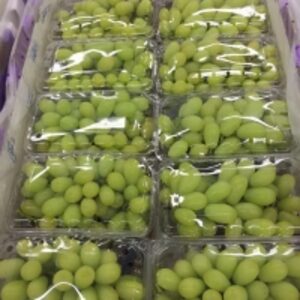  Fresh Indian Grapes 