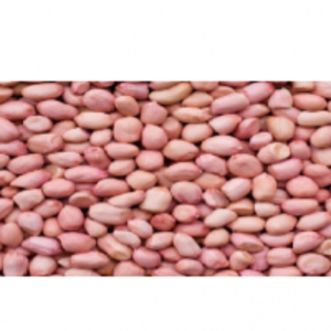 Groundnut by  Greenland Fresco 