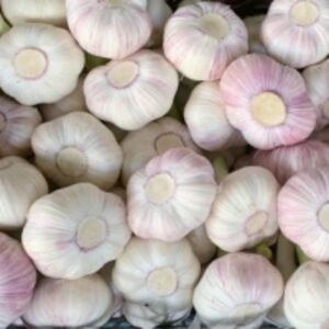 Fresh Garlic by  Delta Green Import Export 