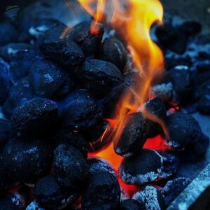 Charcoal Briquettes by  Gsa Rational Trading (pty ) Ltd 