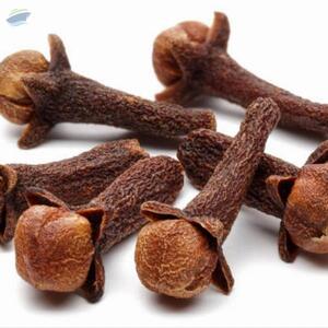 Cloves by  Gsa Rational Trading (pty ) Ltd 