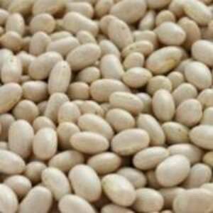 White Kidney Beans - Image 2