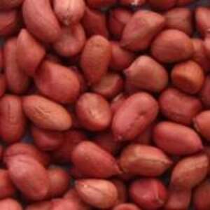 Red Skin Peanut - Image 2