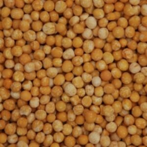  Whole Peas Yellow Polished 