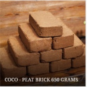 Coco - Peat Brick 650G by  Coirtron Impex 