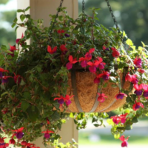 Coco Liner by  Coco House Australia 