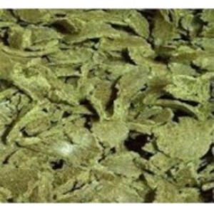 Oil Cake by  Krishna Multicomm Private Limited 