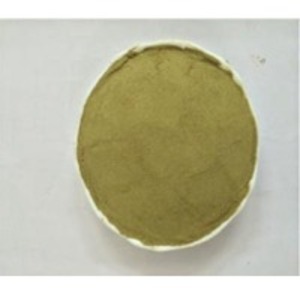 Coriander Leaves Powder by  Krishna Multicomm Private Limited 