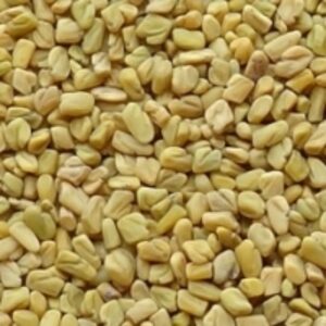 Fenugreek Seeds by Krishna Multicomm Private Limited