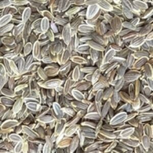 Dill Seeds by  Krishna Multicomm Private Limited 