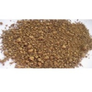 Rapeseed Meal by  Krishna Multicomm Private Limited 