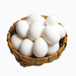 Fresh White Chicken Eggs by  Fastlane Production (Pty) Ltd 