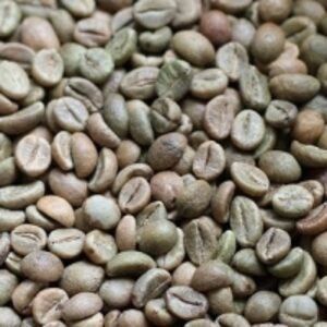 Green Coffee Beans Robusta by  Graha Rejeki Indonesia,  Cv 