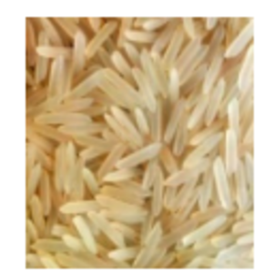 Traditional Basmati Rice by  Tuck & Myriads Private Limited 