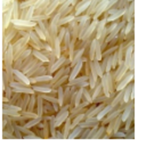 1401 Basmati Rice by Tuck & Myriads Private Limited