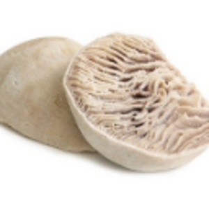 Beef Cuts - Omasum by  Tuck & Myriads Private Limited 