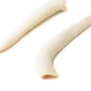 Beef Cuts - Aorta by  Tuck & Myriads Private Limited 