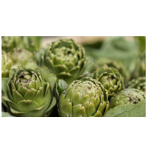 Frozen Vegetables - Artichope Buttons by  Tuck & Myriads Private Limited 