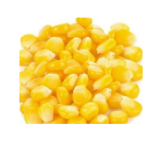 Frozen Vegetables - Sweet Kernel Corn by  Tuck & Myriads Private Limited 