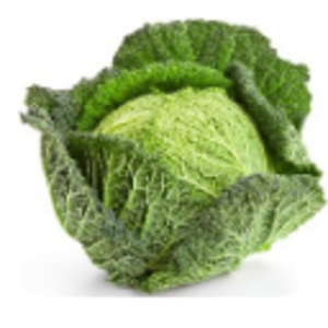 Frozen Vegetables - Savoy Cabbage by  Tuck & Myriads Private Limited 