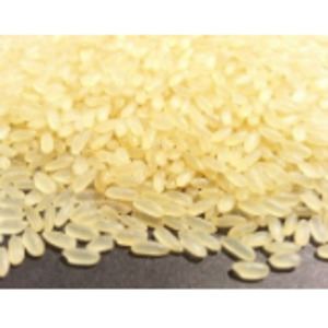 Ir 64 by  Tuck & Myriads Private Limited 