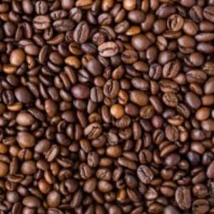 Cocoa Beans by  Ostus Ltd. 