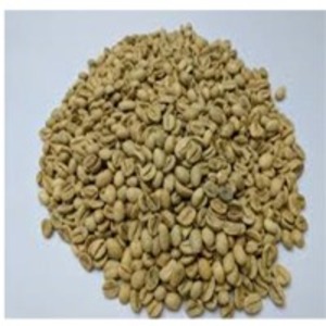 Monsoon Malabar by  Sln Coffee Pvt. Ltd. 