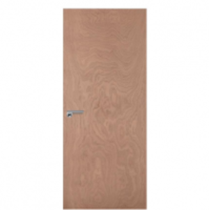 Plywood Door by  ARC Manufacturing Limited 