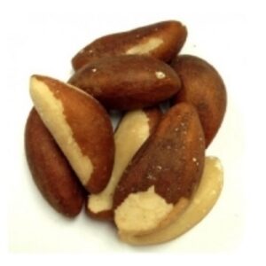  Brazil Nut  by  Agri Solutions Investments Pty Ltd. 