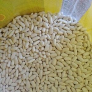 Polish White Kidney Beans by  Agri Solutions Investments Pty Ltd. 