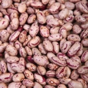 Light Speckled Kidney Beans by  Agri Solutions Investments Pty Ltd. 