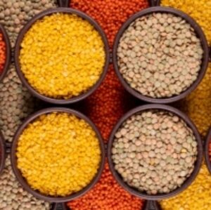 Green And Red Lentils by  Agri Solutions Investments Pty Ltd. 