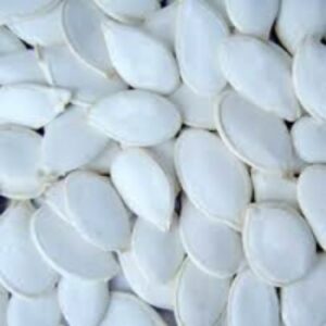 Snow White Pumpkin Seeds by Agri Solutions Investments Pty Ltd.