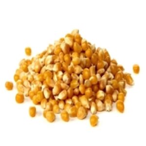 Popcorn by  Agri Solutions Investments Pty Ltd. 