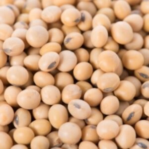 Non Gmo Soybeans by  Agri Solutions Investments Pty Ltd. 