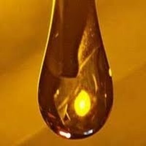 En590 Russian Origins by  Horizon Commercial Brokerage 