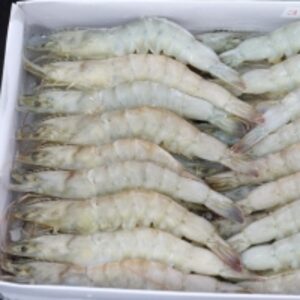 Frozen Vannamei Shrimp