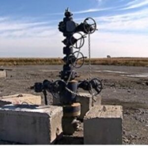 X-Mas Tree Oil Drilling by Ochnology Solution Private Limited