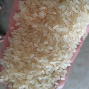 Rice by  Ochnology Solution Private Limited 
