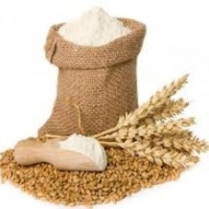 Soft Wheat by  Ochnology Solution Private Limited 