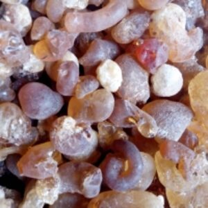 Gum Arabic by  Africa Golden Nuts 