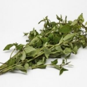 Muna (Minthostachys Mollis) by  Namaskar Sac 