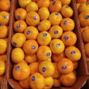 Kinnow by  Namaskar Sac 