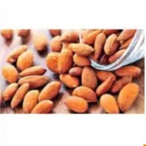 Fresh Almond by Nilshantideep Enterprises