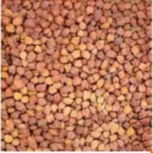 Black Chickpeas by  Nilshantideep Enterprises 