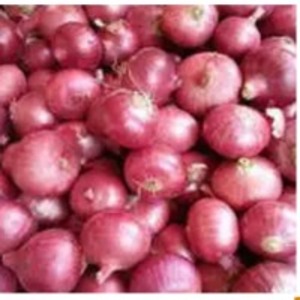 Fresh Onion by  Nilshantideep Enterprises 