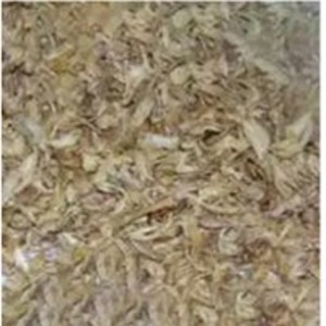 Dry White Onion by Nilshantideep Enterprises